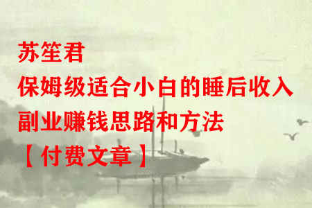苏笙君·保姆级适合小白的睡后收入副业赚钱思路和方法