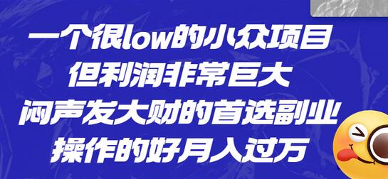 一个很low的小众项目，但利润非常巨大，闷声发大财的首选副业，月入过万