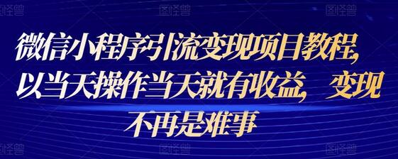 微信小程序引流变现项目教程，以当天操作当天就有收益，变现不再是难事