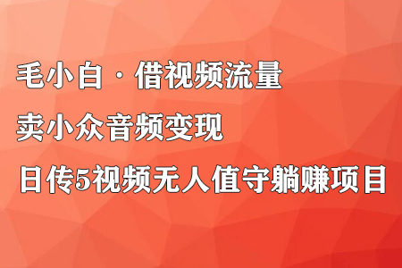毛小白·借视频流量，卖小众音频变现，日传5视频无人值守躺赚项目