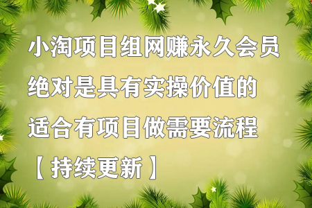 小淘项目组网赚永久会员，绝对是具有实操价值的，适合有项目做需要流程【持续更新】