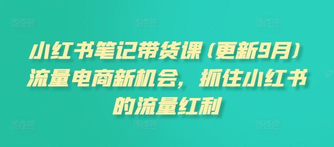 小红书笔记带货课(更新25年6月)流量电商新机会，抓住小红书的流量红利