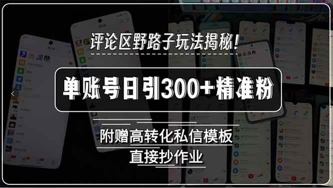 评论区野路子玩法揭秘！单账号日引300+精准粉，附赠高转化私信模板，直…