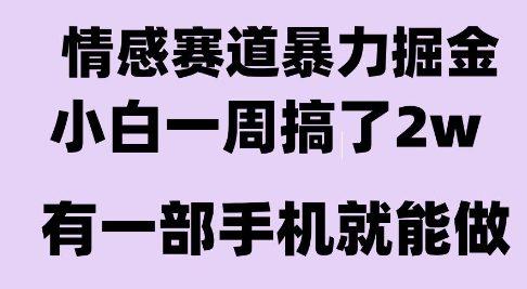 情感暴力掘金项目，新人操作一周挣了2W，长期稳定小白可做【揭秘】
