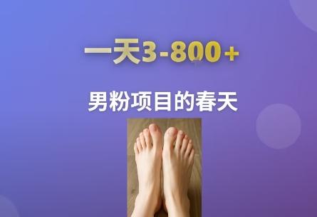 AI一键生成美女素材，一天收益3-8张，男粉项目的春天