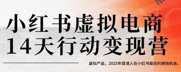 小红书虚拟电商14天变现训练营，虚拟产品，2025年普通人在小红书最后的搞钱机会