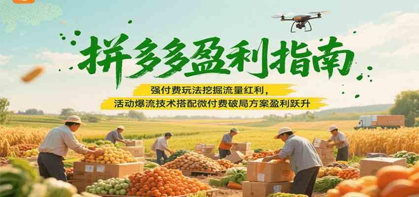 拼多多盈利指南：强付费玩法挖掘流量红利，活动爆流技术搭配微付费方案实现盈利跃升