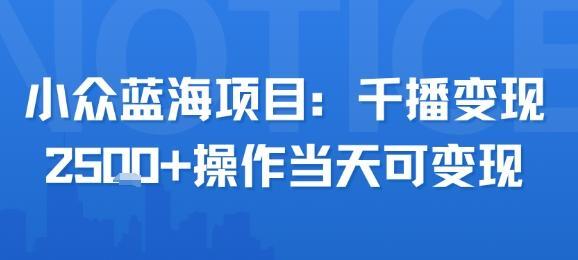 小众蓝海项目，千播变现2.5k+操作当天可变现