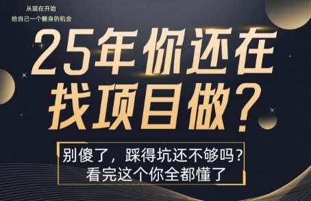 25年，你还在疯狂的找项目吗？别傻了，看完这个你都懂了【揭秘】