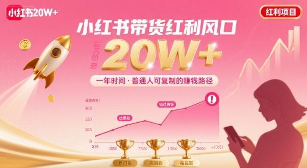 一年时间靠小红书带货项目年入20w+，最不能错的大红利项目