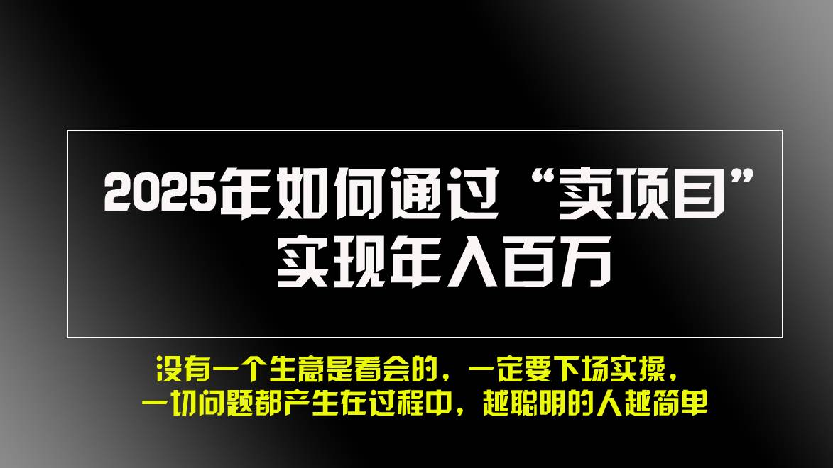 2025年如何通过“卖项目”实现年入百万,做网赚必看!!