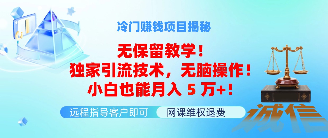 冷门赚钱项目无保留教学!独家引流技术,无脑操作!小白也能月入5万+!