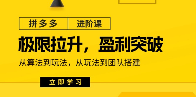 拼多多·进阶课:极限拉升/盈利突破:从算法到玩法 从玩法到团队搭建-18节