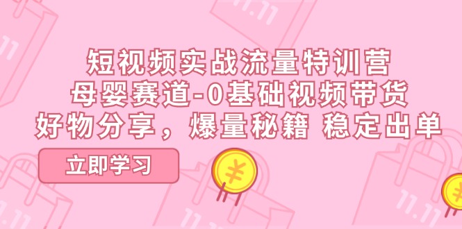 短视频实战流量特训营,母婴赛道-0基础带货,好物分享,爆量秘籍 稳定出单