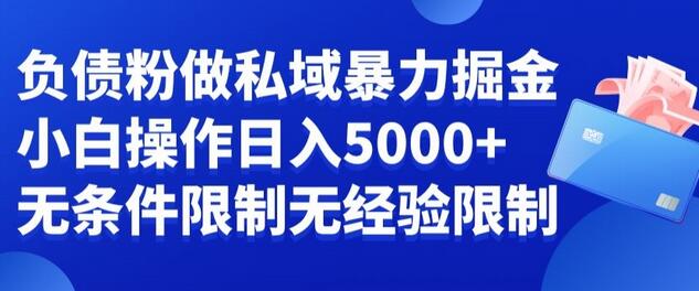 负债粉私域暴力掘金,小白操作入5000,无经验限制,无条件限制