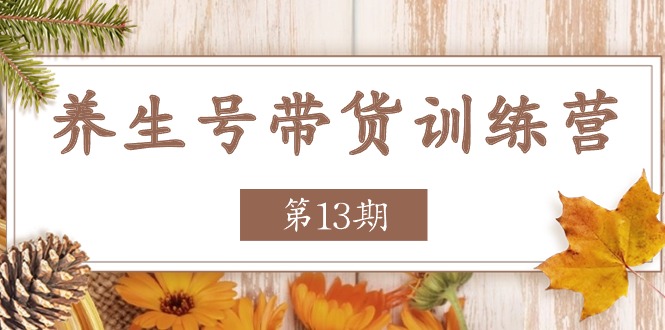 养生号-带货训练营【第13期】收益更稳定的玩法,让你带货收益爆炸