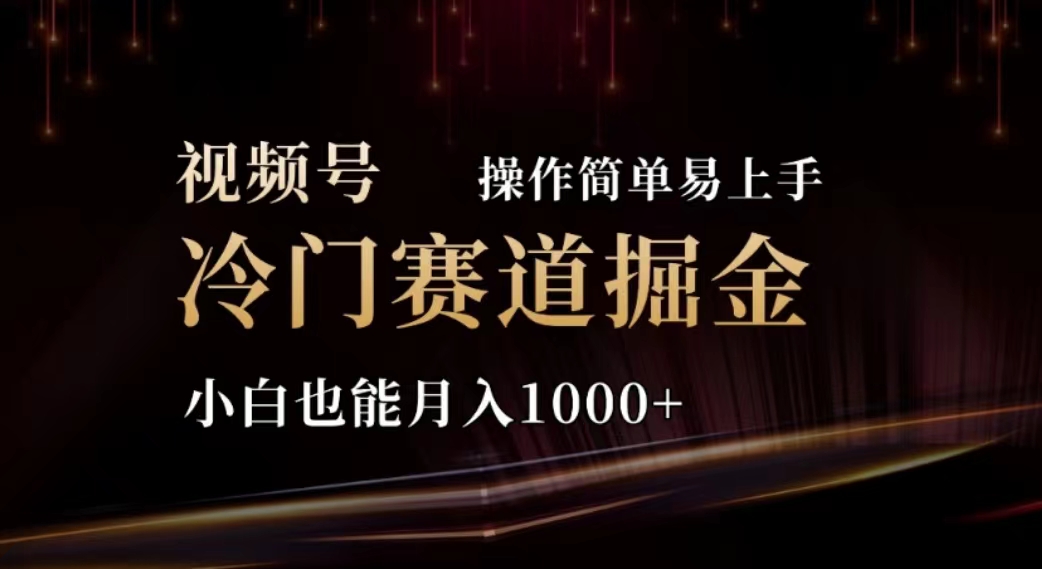 2024视频号冷门赛道掘金,操作简单轻松上手,小白也能月入1000+