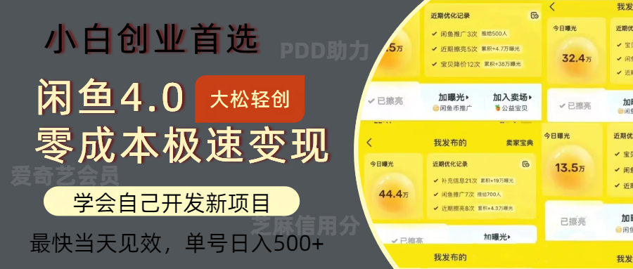 闲鱼0成本极速变现项目,多种变现方式 单号日入500+最新玩法