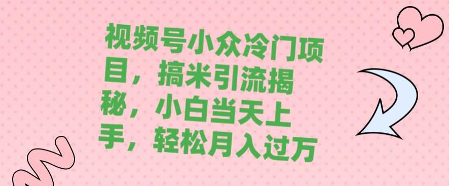 视频号小众冷门项目,搞米引流揭秘,小白当天上手,轻松月入过万
