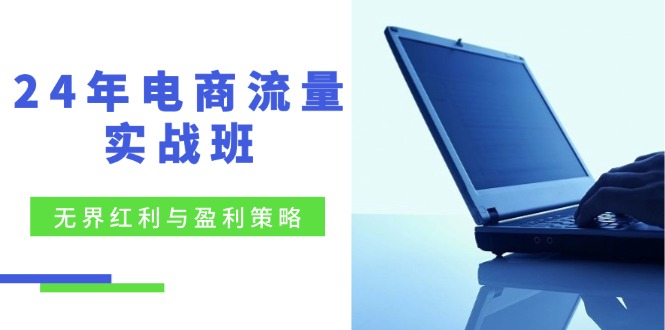 24年电商流量实战班:无界 红利与盈利策略,终极提升/关键词优化/精准…