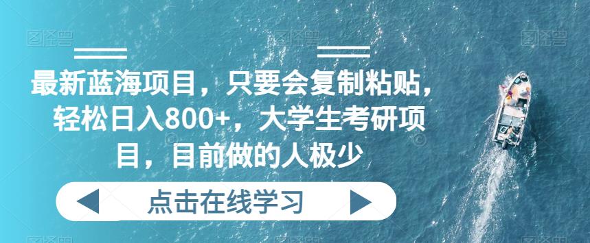 最新蓝海项目,只要会复制粘贴,轻松日入800+,大学生考研项目,目前做的人极少