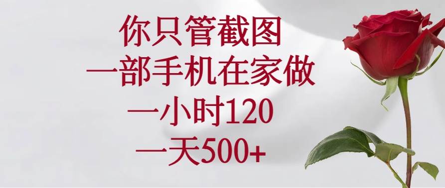 你只管截图,一部手机在家做,一小时120,一天500+