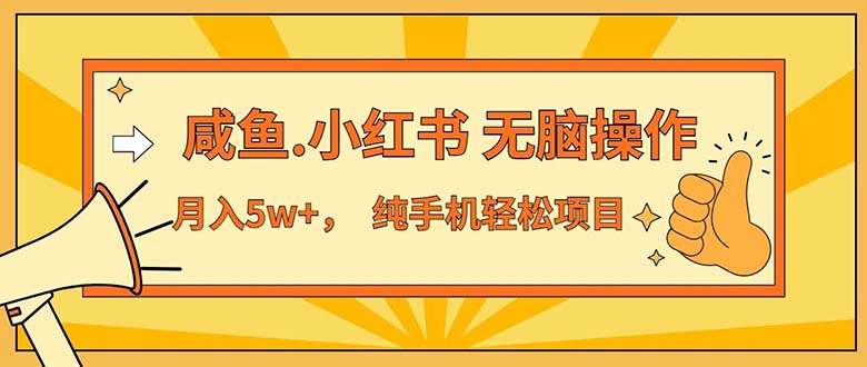 2024最赚钱的项目,咸鱼,小红书无脑操作,每单利润500+,轻松月入5万+…