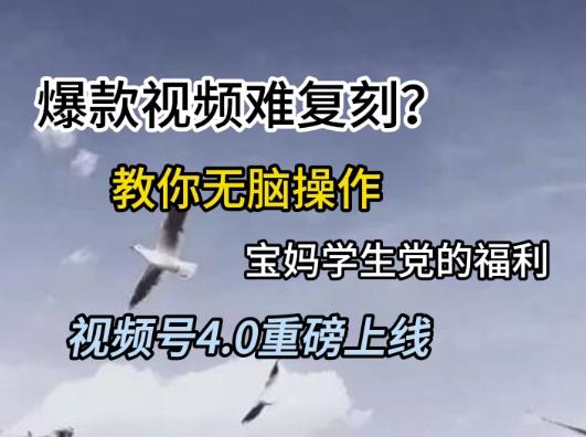 视频号4.0重磅上线,爆款视频难复刻?教你无脑操作宝妈学生党的福利【揭秘】