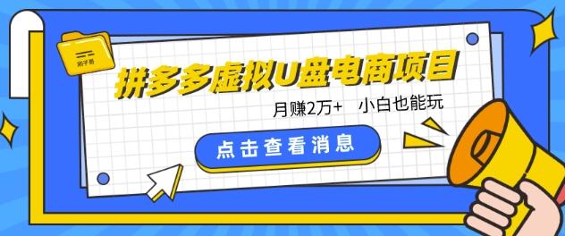 拼多多虚拟U盘电商红利项目:月赚2万+,新手小白也能玩