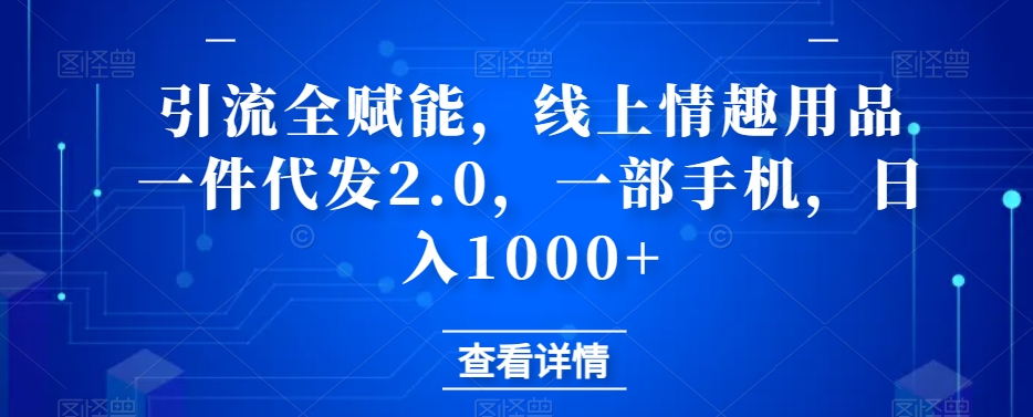引流全赋能,线上情趣用品一件代发2.0,一部手机,日入1000+