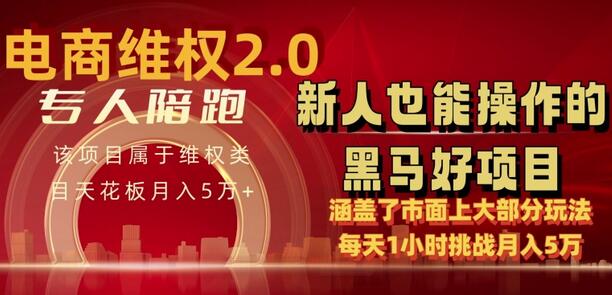 电商维Q4.0 如何做到月入 5 万+每天 1 小时新人也能快速上手