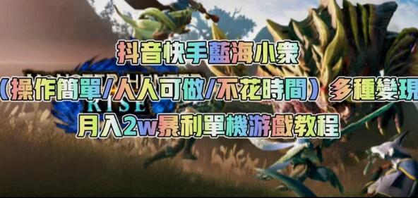 抖音快手蓝海小众(操作简单人人可做不花时间)多种变现月入2w+暴利单机游戏教程