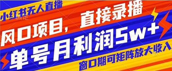 风口项目，小红书无人直播带货，直接录播，可矩阵，月入5w+