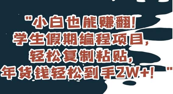 小白也能赚翻！学生假期编程项目，轻松复制粘贴，年货钱轻松到手2W+