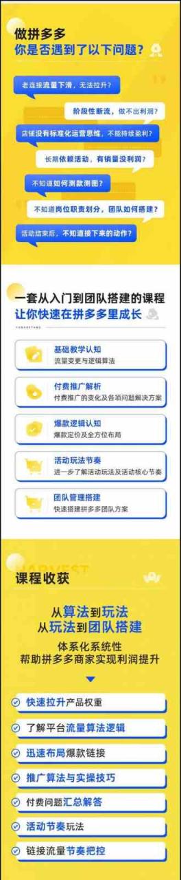 拼多多进阶课:极限拉升/盈利突破:从算法到玩法 从玩法到团队搭建(18节)