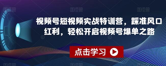 视频号短视频实战特训营,踩准风口红利,轻松开启视频号爆单之路