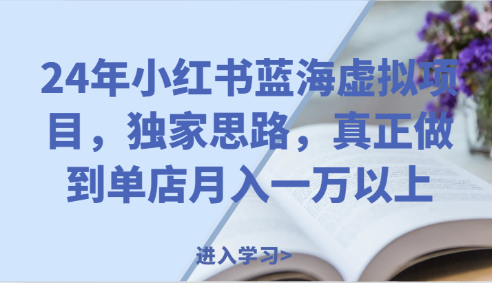 24年小红书蓝海虚拟项目,独家思路,真正做到单店月入一万以上。