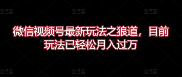 微信视频号最新玩法之狼道,目前玩法已轻松月入过万