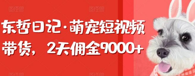 东哲日记·萌宠短视频带货，2天佣金9000+