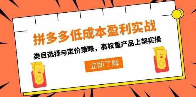 拼多多低成本盈利实战,类目选择与定价策略,高权重产品上架实操