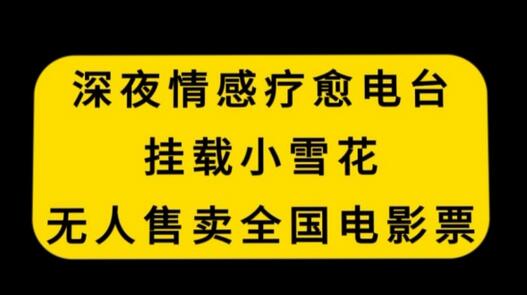 深夜情感疗愈电台，挂载小雪花，无人售卖全国电影票