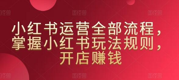 小红书运营全部流程,掌握小红书玩法规则,开店赚钱