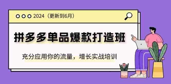 2024拼多多单品爆款打造班,充分应用你的流量,增长实战培训(更新6月)