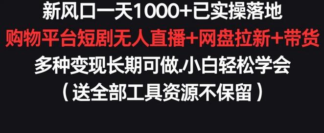 新风口一天1000+已实操落地购物平台短剧无人直播+网盘拉新+带货多种变现长期可做