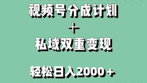 视频号分成计划+私域双重变现,轻松日入1000+,无任何门槛,小白轻松上手