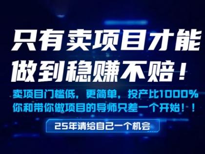 只有卖项目才能做到稳挣不赔,门槛低,更简单,你也可以年入百个W【揭秘】