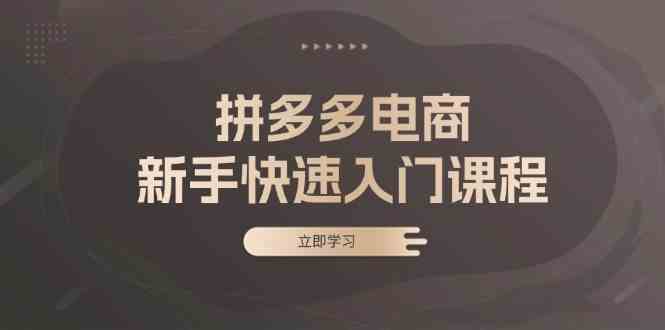 拼多多电商新手快速入门课程:涵盖基础、实战与选款,助力小白轻松上手