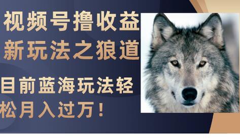 视频号撸收益新玩法之狼道，目前蓝海玩法轻松月入过万！