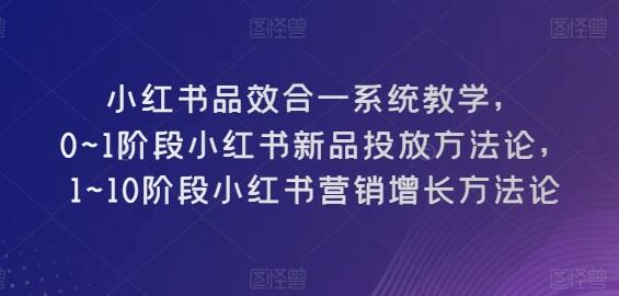 小红书品效合一系统教学,0~1阶段小红书新品投放方法论,1~10阶段小红书营销增长方法论