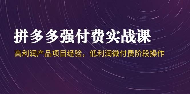 拼多多强付费实战课-44期，高利润产品项目经验，低利润微付费阶段操作